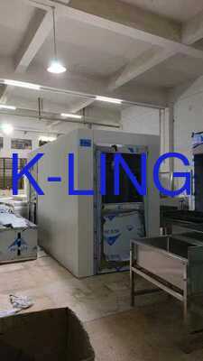 Προσαρμόσιμο μέγεθος Cleanroom Air Shower Tunnel με ροή αέρα υψηλής ταχύτητας (20-25 m/s) για χωρητικότητα πολλαπλών ατόμων (50+ εργαζόμενοι)